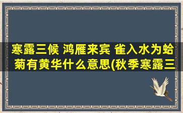 寒露三候 鸿雁来宾 雀入水为蛤 菊有黄华什么意思(秋季寒露三候，寄情鸿雁飞来宾，雀儿入水成蛤珠，黄华菊绽情意浓。)